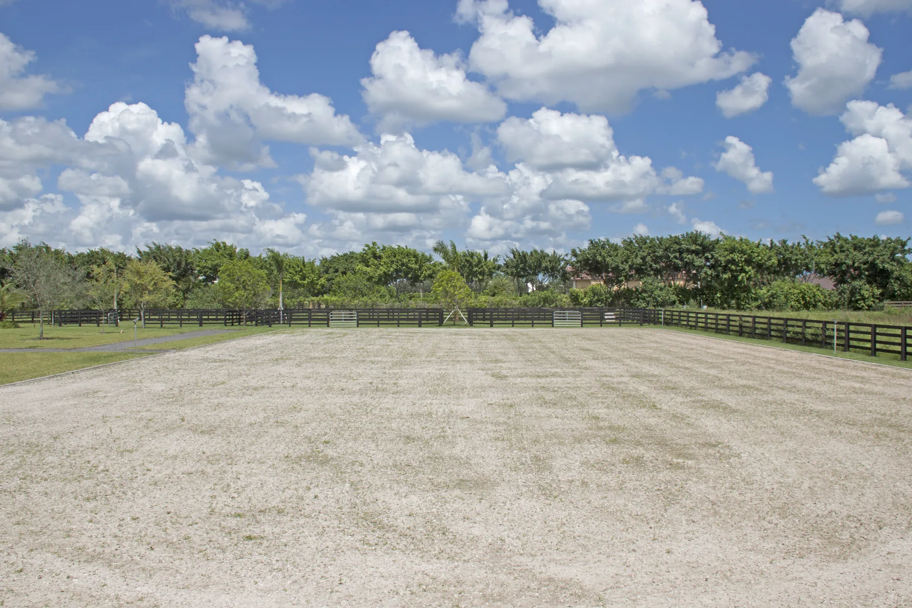 Grand Prix Farms project image 33