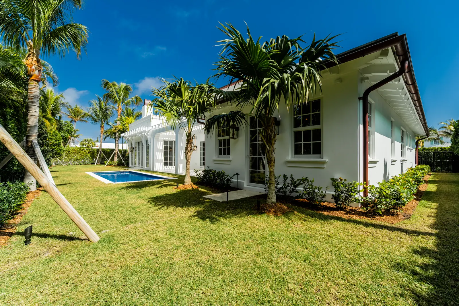Pool garden and rear elevation at Ibis Isle