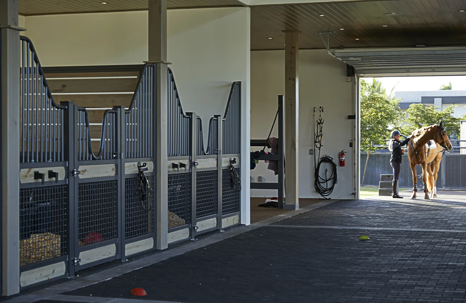 Lasso Way Estate project image 25