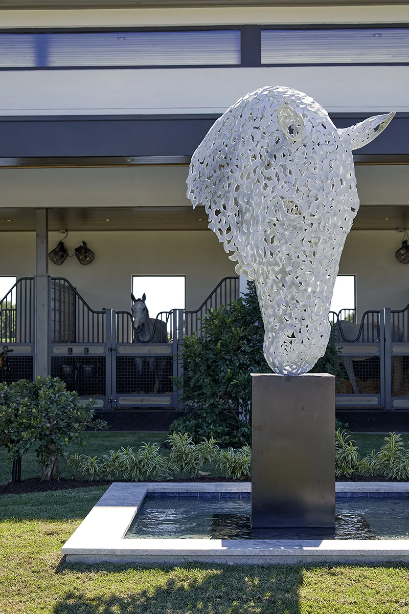 Lasso Way Estate project image 33