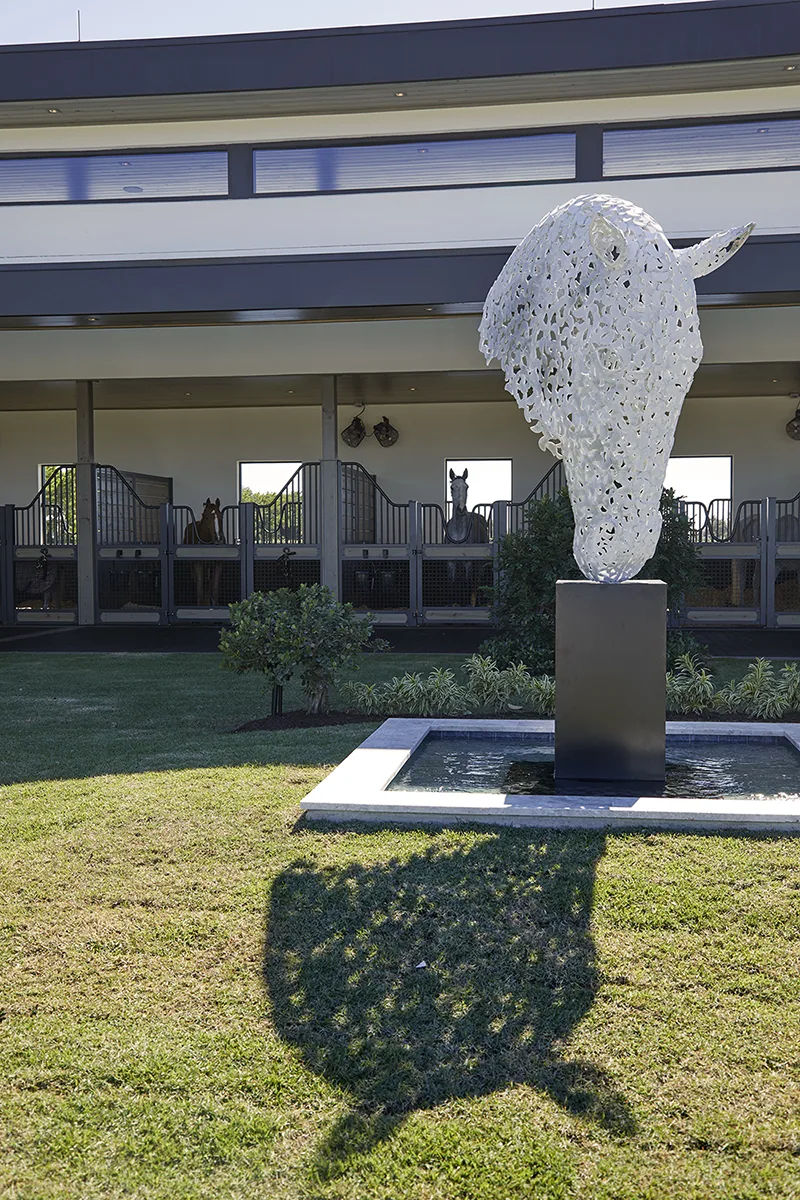 Lasso Way Estate project image 34