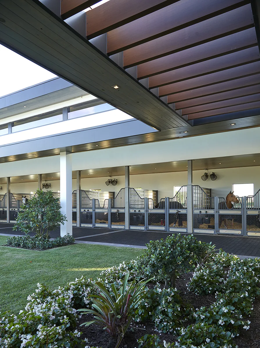 Lasso Way Estate project image 44