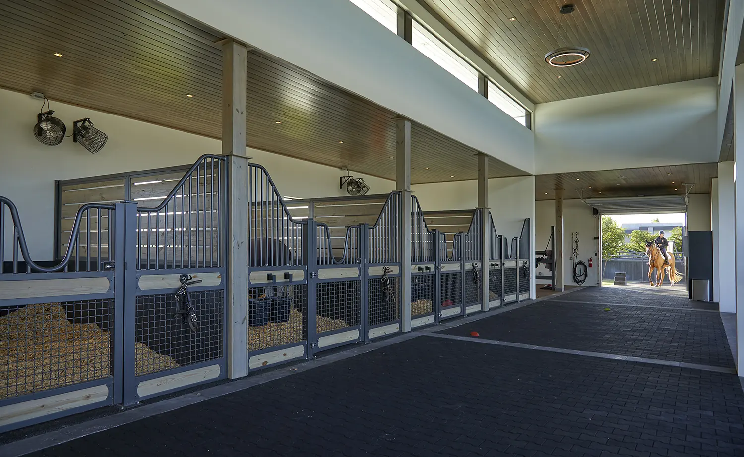 Stable And Horses at Lasso Way Estate