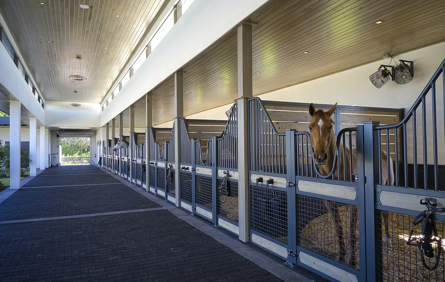 Lasso Way Estate project image 82