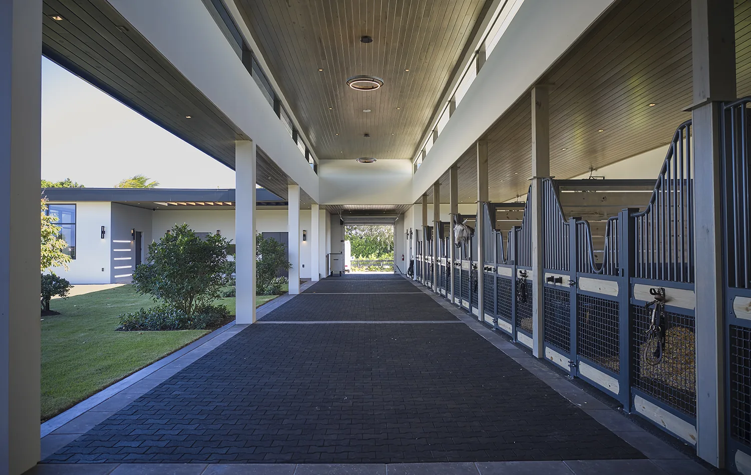 Lasso Way Estate project image 83