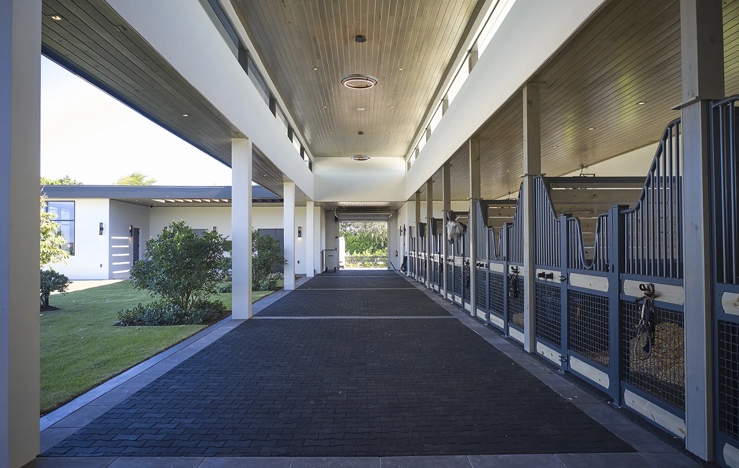 Lasso Way Estate project image 84
